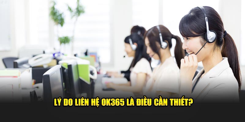 Lý do liên hệ OK365 là điều cần thiết?