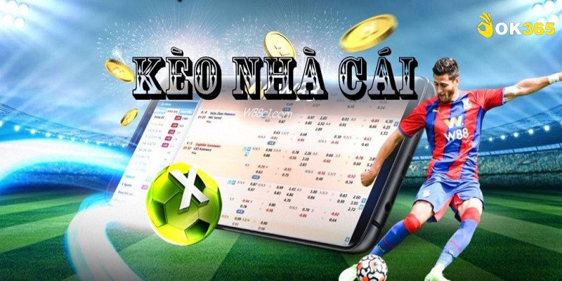 Phân tích các tác nhân gây để dự đoán kết quả chính xác