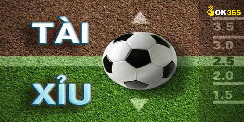 Hình thức cá độ bóng đá dễ dự đoán kết quả nhất