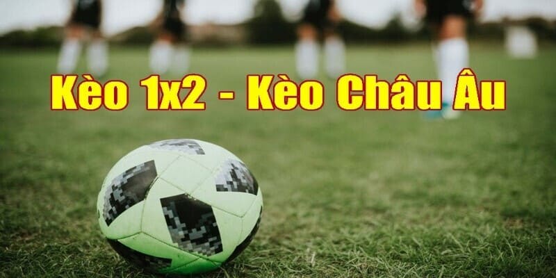 Top các loại tỷ lệ kèo phổ biến nhất ngày nay