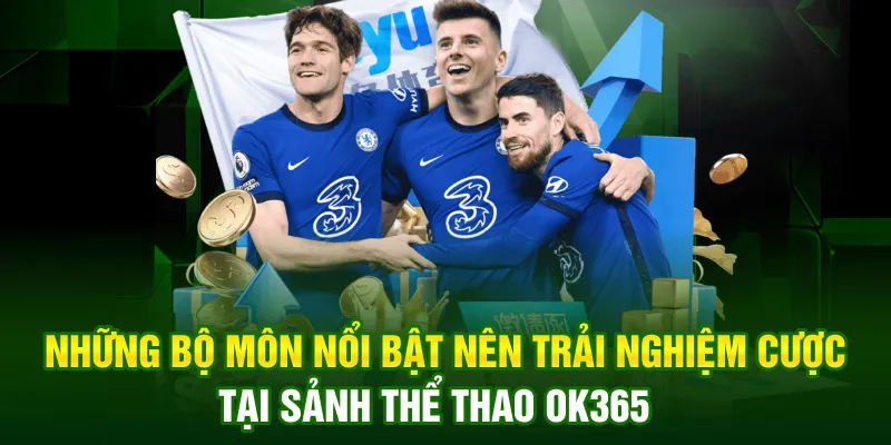 Những bộ môn nổi bật nên trải nghiệm cược tại sảnh thể thao OK365 Những bộ môn nổi bật nên trải nghiệm cược tại sảnh thể thao OK365