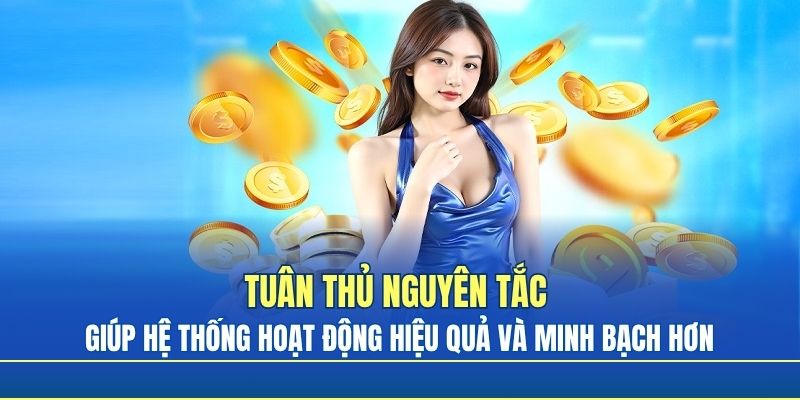 Tuân thủ nguyên tắc giúp hệ thống hoạt động hiệu quả và minh bạch hơn